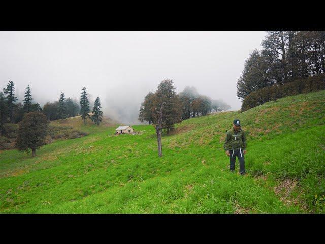 Part 3 hiking 70 km in 6 days, Great Himalayan National Park Tirthan and Sainj Valley