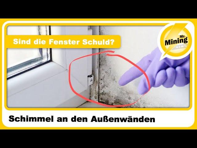 Überall Schimmel an den Außenwänden! Sind die Fenster Schuld? Was ist eure Meinung 