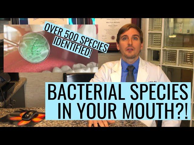 Bacterial Species In Your MOUTH?!