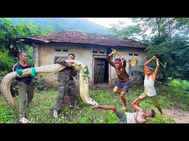 Clean Up Abandoned House |Brave Hunter Tracks Down A Giant Python In The Thicket. Animal Rescue