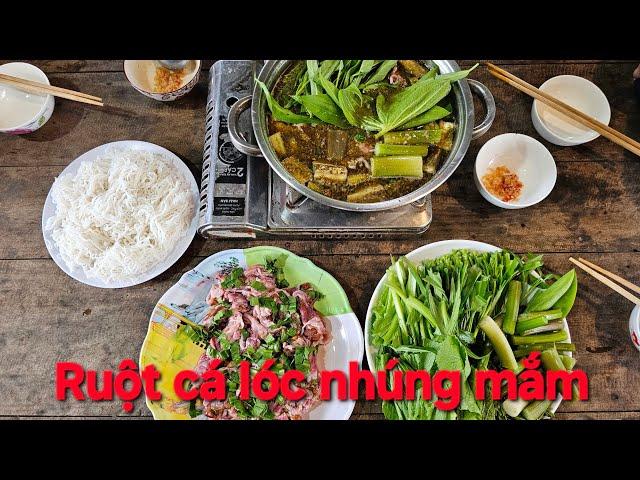 1268 l Món ruột cá lóc nấu lẩu mắm