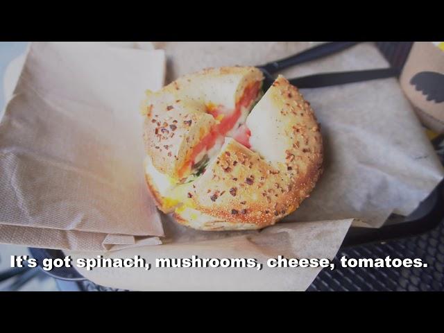 Tripping Kosher: Einstein's Bagels Seattle