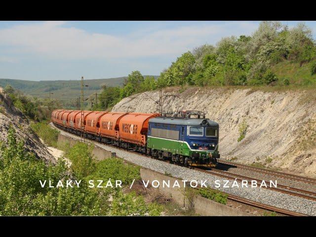 Vlaky / Trains Szár (Vonatok Szárban) (HU) 13.4. 2024