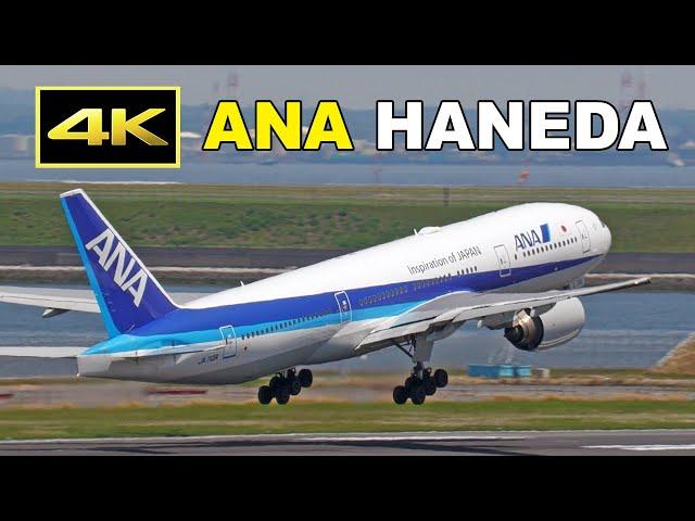 [4K] ANA 777, 787, 767, 737, A320 - Tokyo Haneda Airport 2024 / 羽田空港