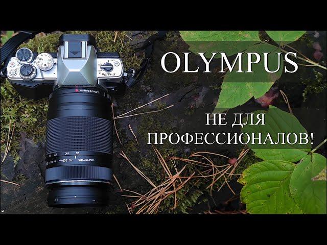 Фотоохота на Olympus OM-D E-M10 Mark II - ролик от камрада Юрия