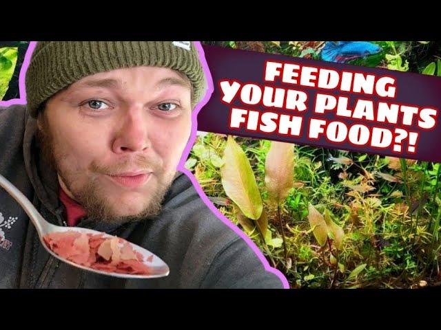 Fertilizing Your Aquarium Plants With Fish Food Instead? Can Nutrient Rich Fish Food Replace Fertz?