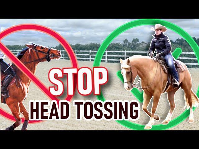 Teach Flawless Walk-Canter Transitions | The SIMPLE way