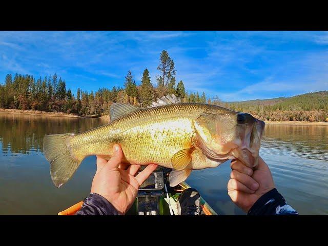 Fishing For Late Fall Bass!