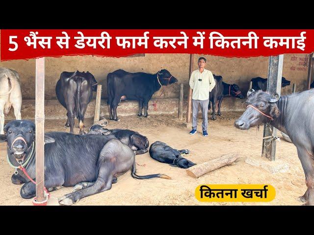 5 पशुओं से डेयरी फार्म शुरू करने में कितनी कमाई | How To Start Dairy Farming