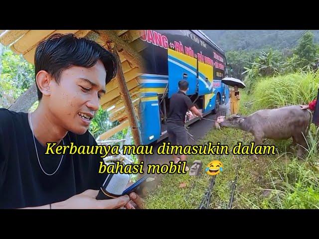 INI KONSEPNYA GIMANA ? | MANG DERWIN REACTION