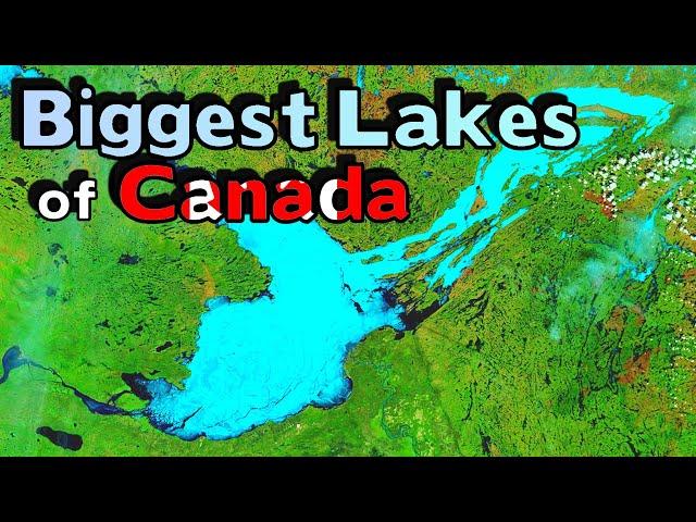 What is the Largest Lake in Every Canadian Province and Territory?