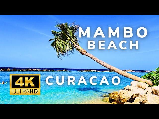 Curacao | 4K | Mambo Beach | Beach Walk | BeachLife