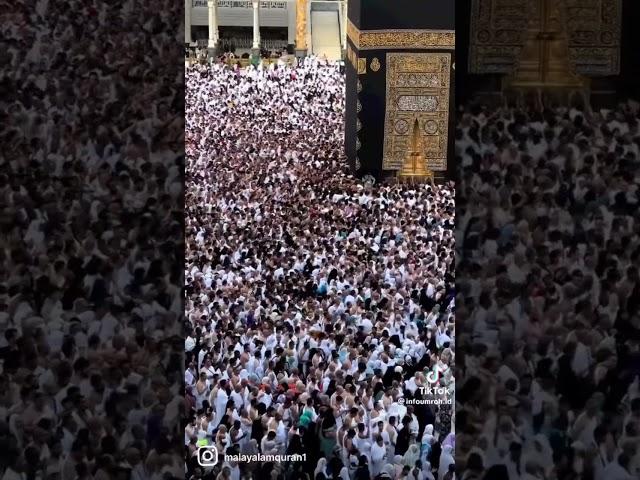 Labbaikallahumma Labbaik Hajj #talbiya #hajj