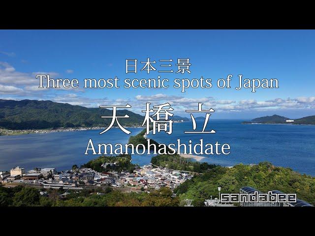 絶景の日本三景天橋立で恐らく唯一残念なこと。The only disappointment in the spectacular Amanohashidate.