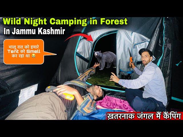 भालू हमारे Tent को Smell कर रहा था Night Camping in Shankpal Forest Jammu Kashmir | Camping in India