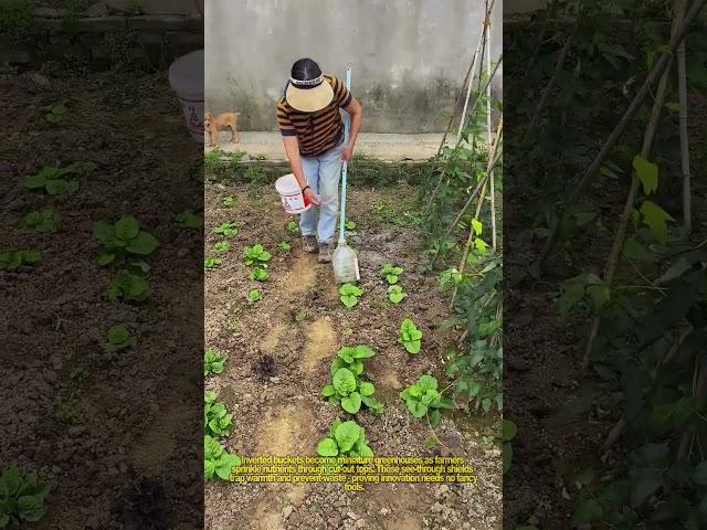 DIY Dome Fertilizing! Upcycled Bucket Nourishes Crops