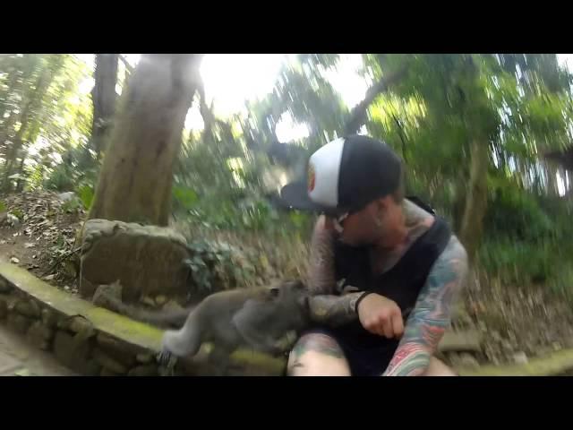 Monkey Bite - Monkey Forest UBUD Bali