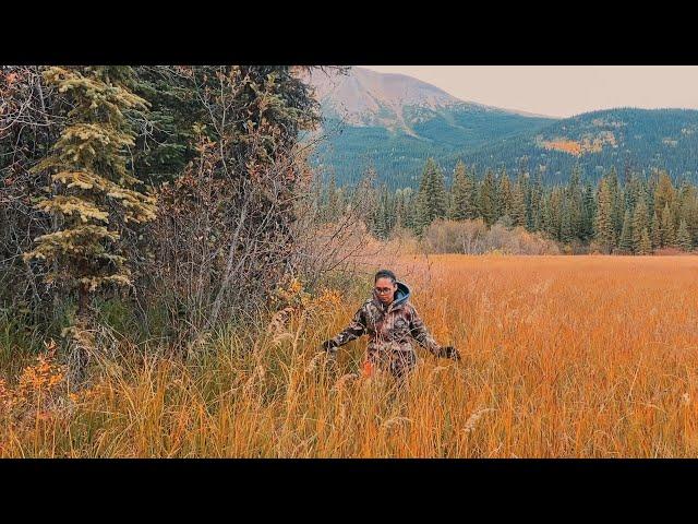 MOOSE HUNTING in NORTHERN BC | Episode 3 | THE SABOZ JOURNAL