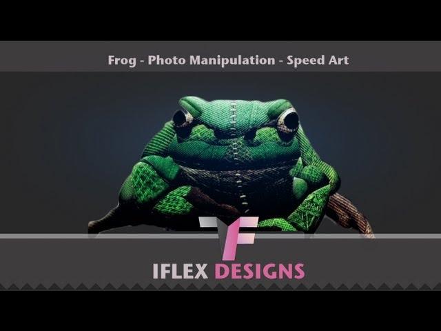 Frog Bean Bag - Photo Manipulation | Speed Art