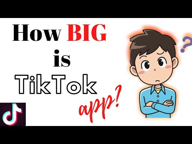 How big is the TikTok app? | TechyTacos