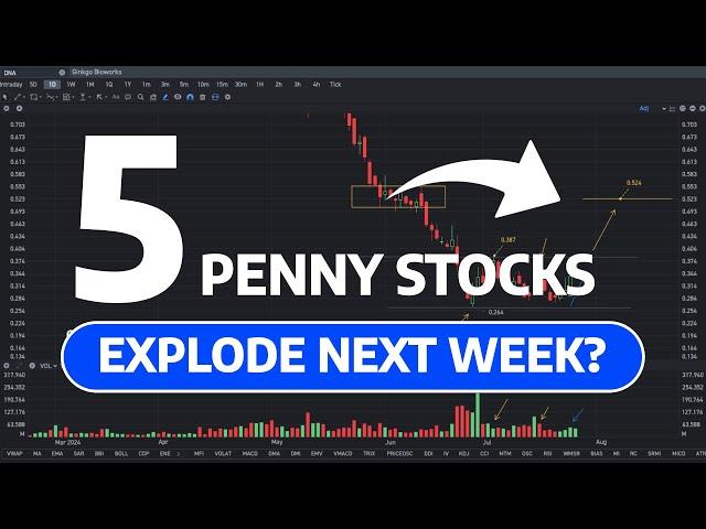 5 Penny Stocks Could Explode Next Week?