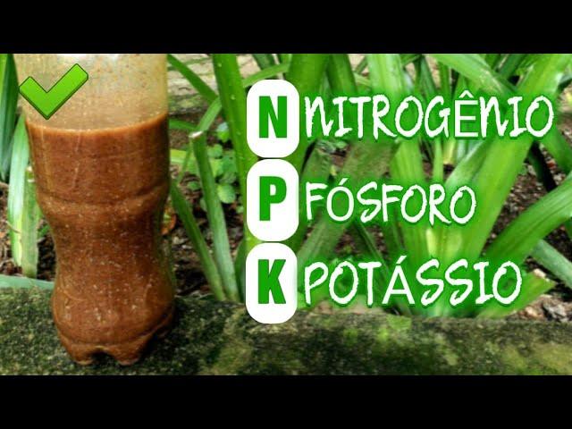 NPK ORGÂNICO- aprenda a fazer esse adubo poderoso!