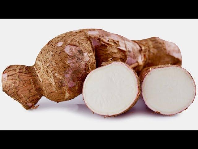 5 Incredible Health Benefits Of Cassava