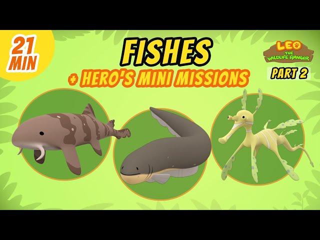 Fishes (Part 2/2) - Junior Rangers and Hero's Animals Adventure | Leo the Wildlife Ranger