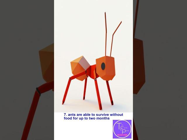 Ten facts pedia about ants