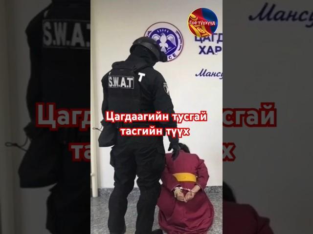 Цагдаагийн тусгай тасгийн түүх Гоё түүхүүд цувралаас монгол хэлээр кино Goe tuuhuud mongol heleer