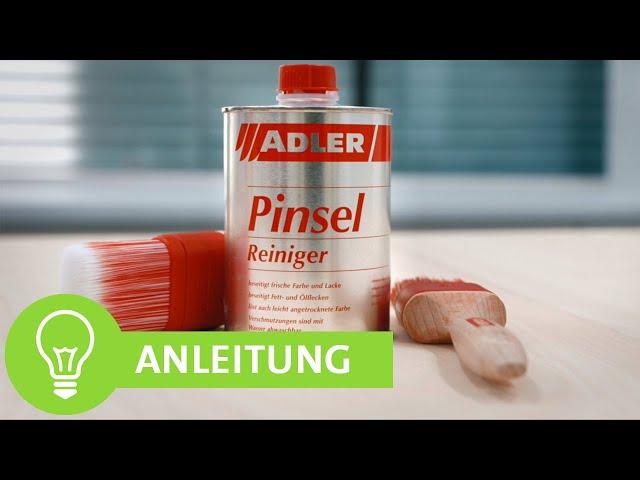 Pinselreiniger - So werden deine Pinsel wieder sauber