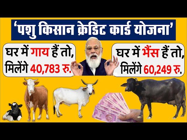 पशु किसान क्रेडिट कार्ड के तहत पशुपालकों को मिलेंगे 3 लाख रु. तक KCC PM Modi news