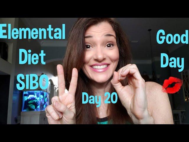 Elemental Diet SIBO Diary Day 19-20 | Lisa Monoson