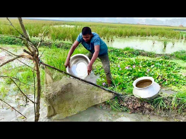 বিলে খেতের কোনে ঢোবা সেচে দেশি মাছ ধরলাম। village amazing new fishing videos Bangladesh. Fishing bd.