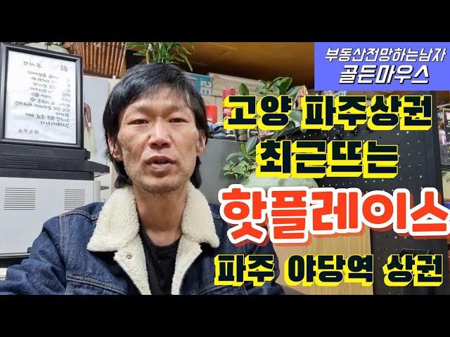 고양 파주상권 분석 최근 뜨는 핫플레이스 야당역 상권