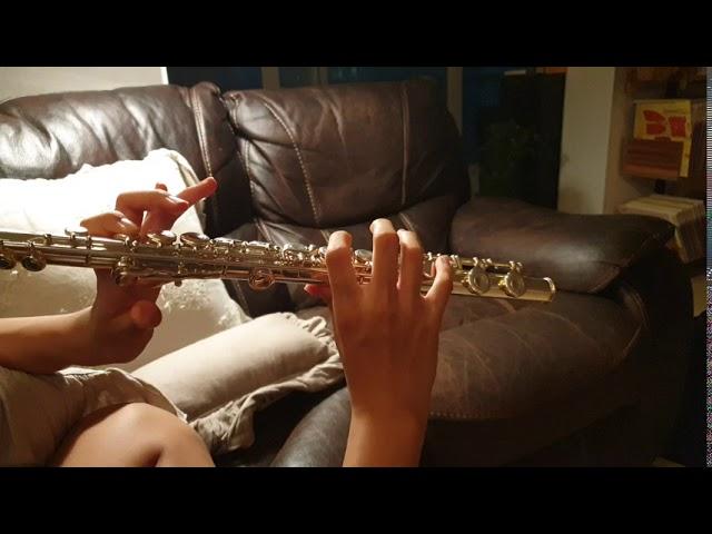 YAMAHA FLUTE 221