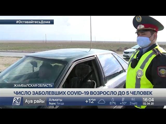 До 5 человек возросло число заболевших коронавирусом в Жамбылской области