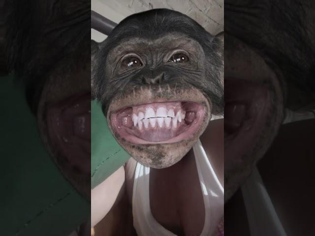 Monkey face funny video  #funny #youtubeshorts