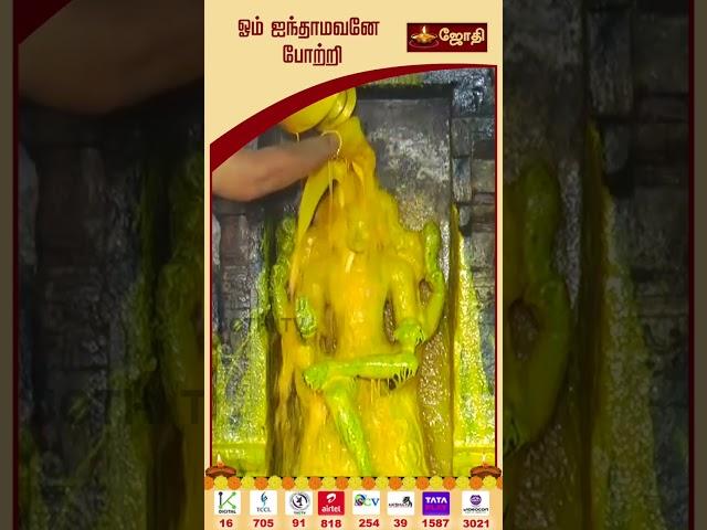 குரு பிரம்மா குரு விஷ்ணு குரு தேவோ மகேஸ்வர!!! | JOTHI TV