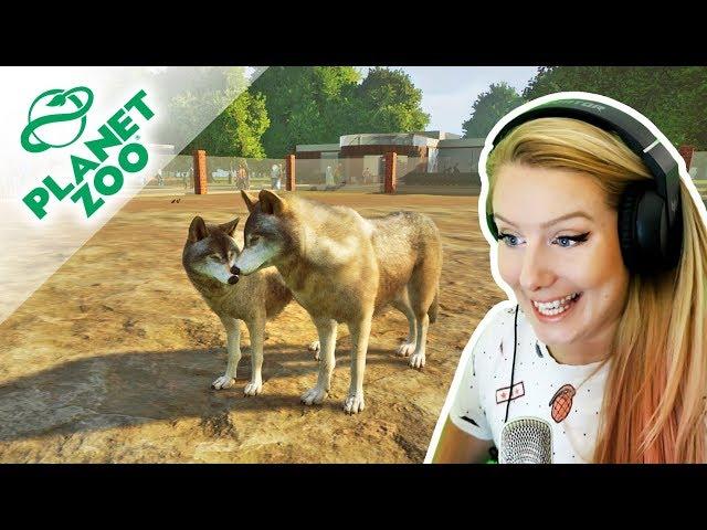 NAŠE VLASTNÍ ZOO A PRVNÍ ZVÍŘATA ● Planet Zoo 01