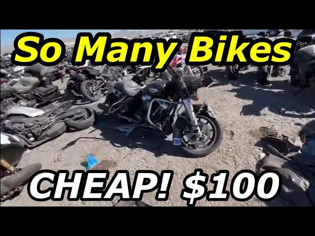 Copart Walk Around, Motorcycles, Many Cheap Harley Davidsons