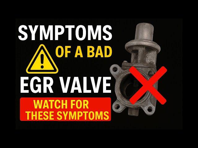 Symptoms of a Bad EGR Valve: What to Look For