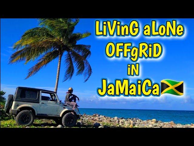 THiS iS HoW i LiVe OFF GRID iN JaMaiCa | bUiLdiNg JuDaH eP 135