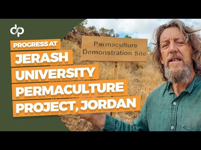 Progress at the Jerash University Permaculture Project, Jordan