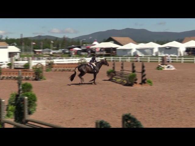 Video of ZONDER Z QUATTRO ridden by ABIGAIL TINSLEY from ShowNet!