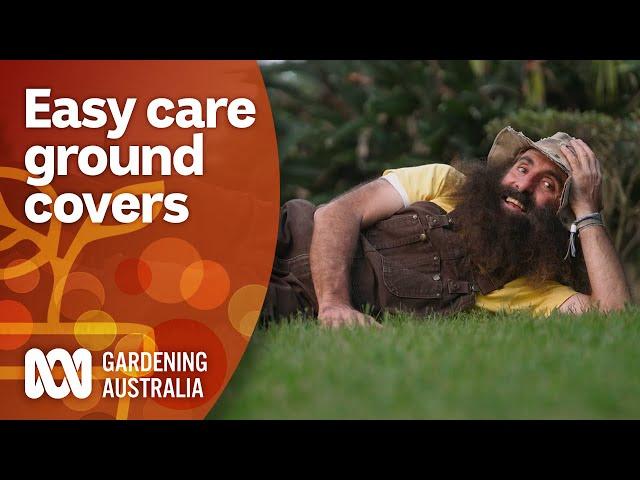 Check out these fuss-free lawn alternatives | Garden Inspiration | Gardening Australia