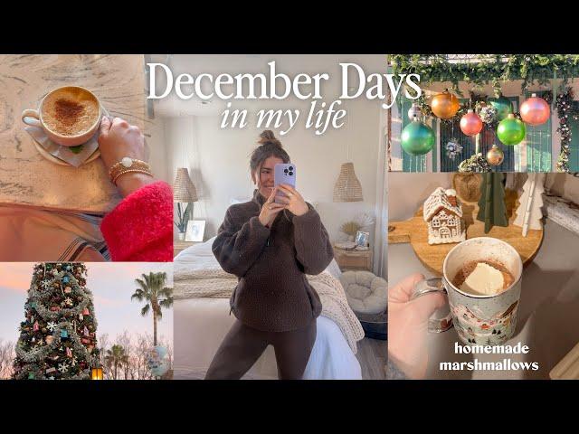 DAYS IN MY LIFE | marshmallow recipe, healthy eats, cozy holiday fun + tracking my hormones!