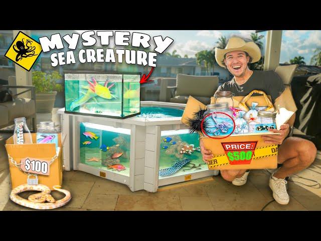 $100 vs $500 SEA CREATURE Mystery FISH Box For My SALTWATER PONDS! (shopping spree)