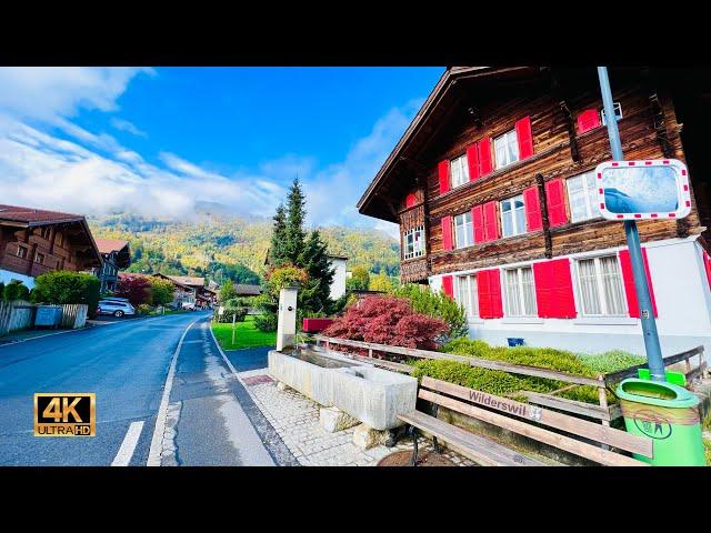 Wilderswill , Beautiful Village In Switzerland | A piece of Havean | Swiss View