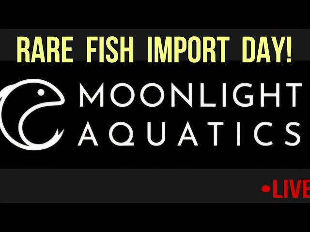 RARE FISH & SHRIMP IMPORTS JUST LANDED! @Moonlightaquatics.com • LIVE 10% OFF Code in description